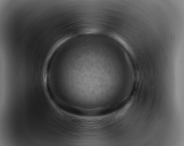 X0000092251418200709211053