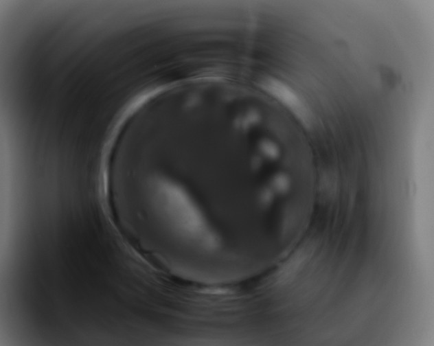X0000092251419200709211053