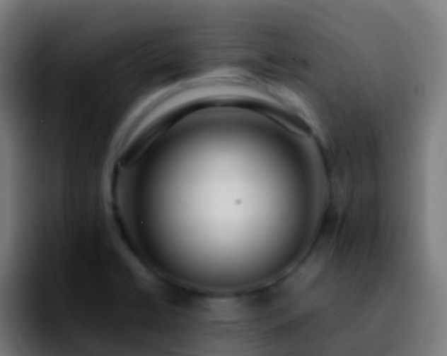X0000092251422200709211053