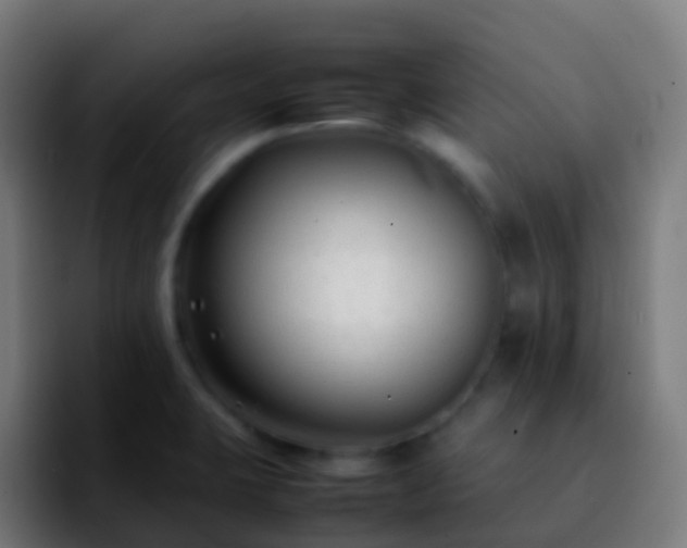 X0000092251423200709211053