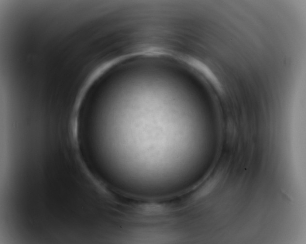 X0000092251424200709211053