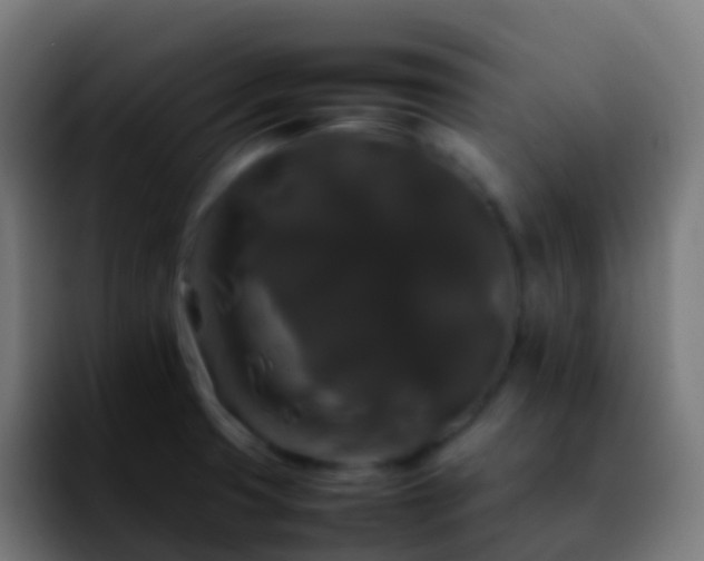 X0000092251425200709211053