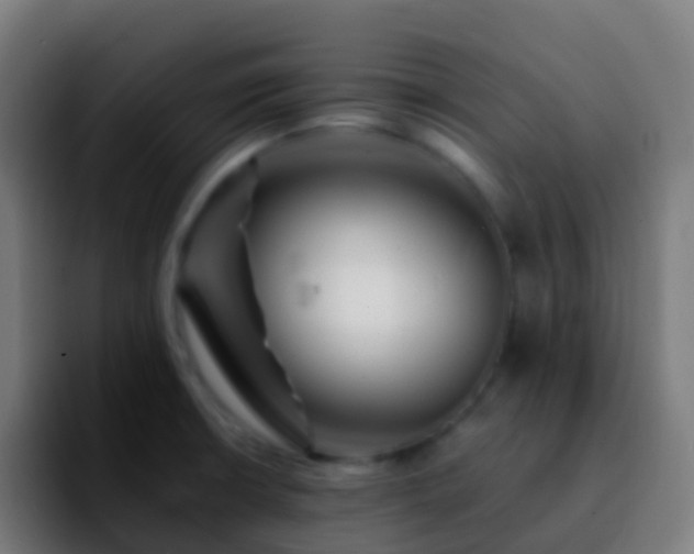 X0000092251426200709211053