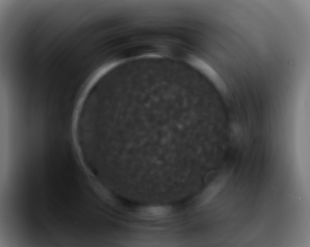 X0000092251427200709211053