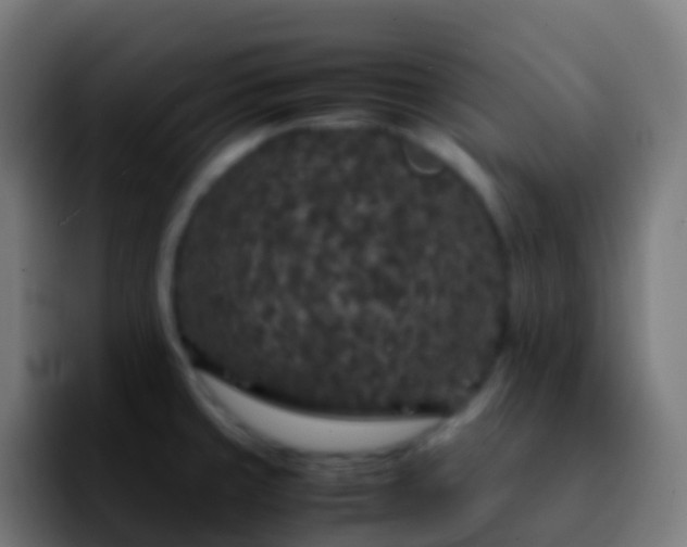 X0000092251429200709211053