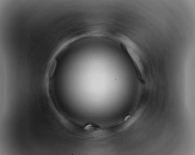 X0000092251430200709211053