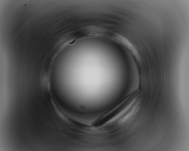 X0000092251433200709211053