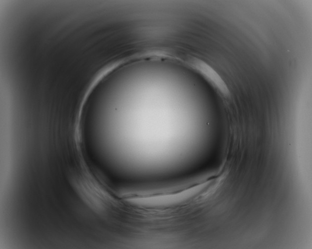 X0000092251436200709211053