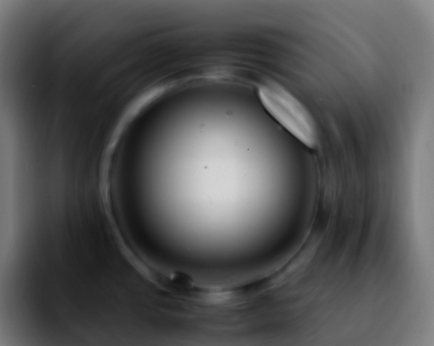 X0000092251437200709211053