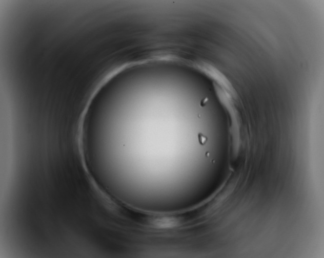 X0000092251439200709211053
