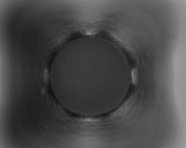 X0000092251443200709211053