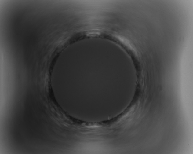 X0000092251445200709211053