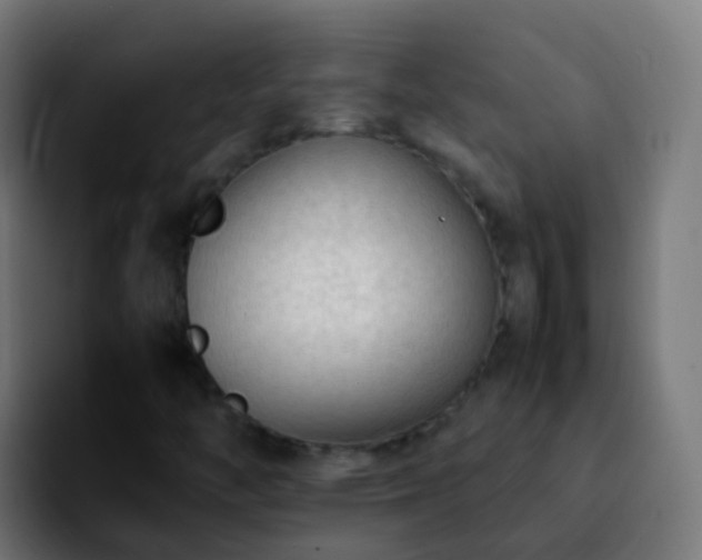 X0000092251446200709211053