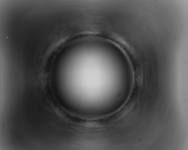 X0000092251448200709211053