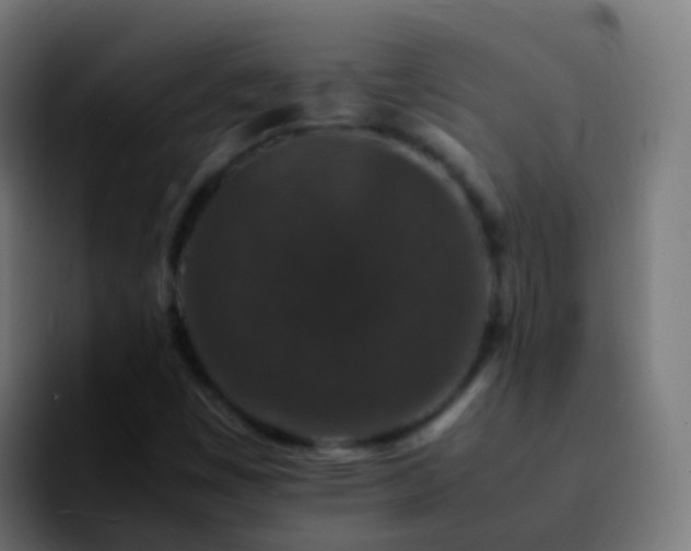 X0000092251449200709211053