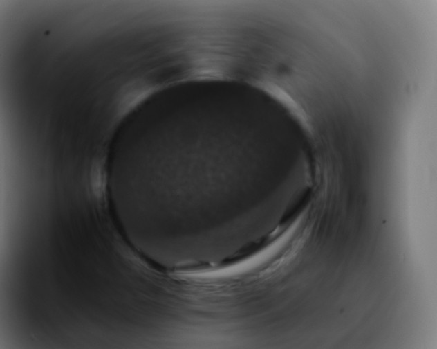 X0000092251450200709211053