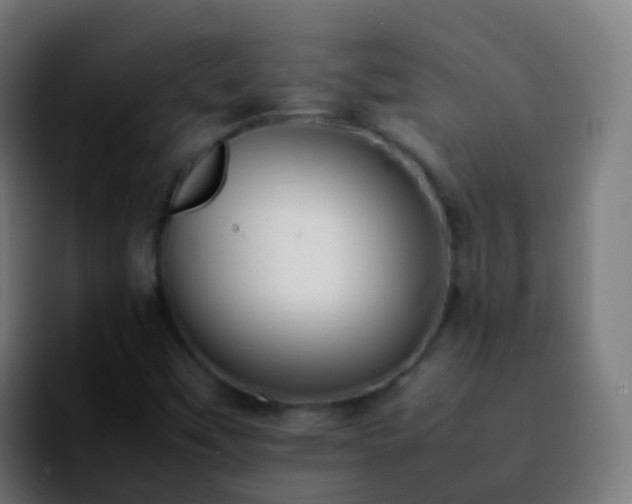 X0000092251451200709211053