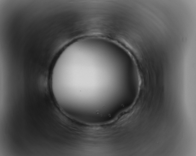 X0000092251452200709211053