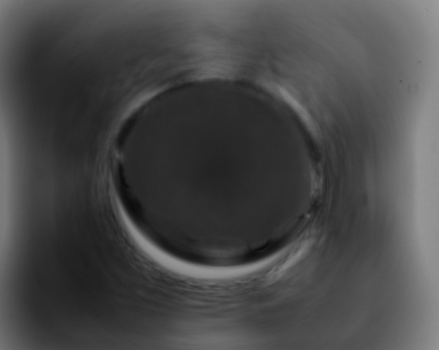 X0000092251453200709211053