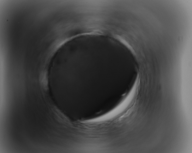X0000092251455200709211053