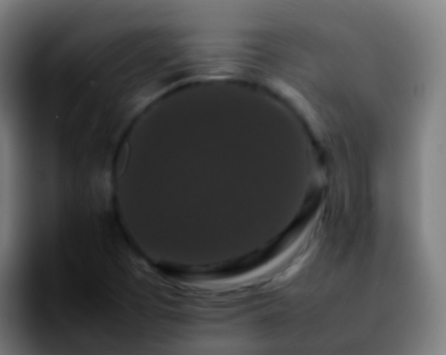 X0000092251457200709211053