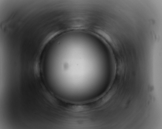 X0000092251458200709211053