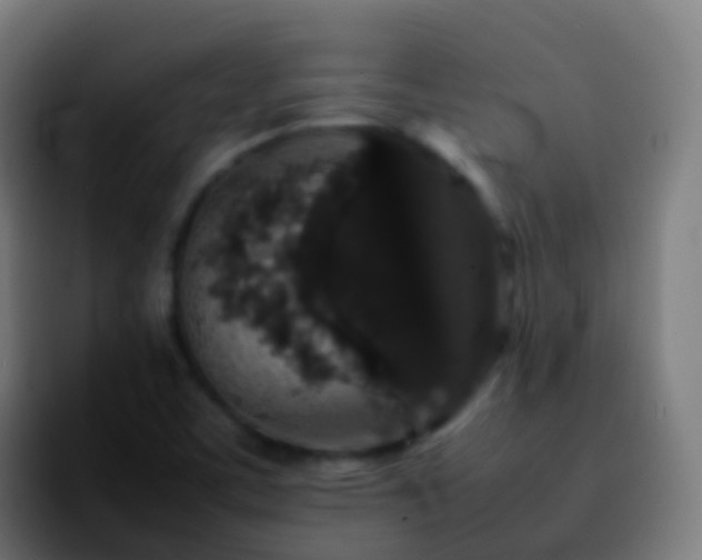 X0000092251459200709211053