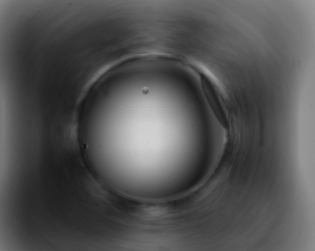 X0000092251460200709211053