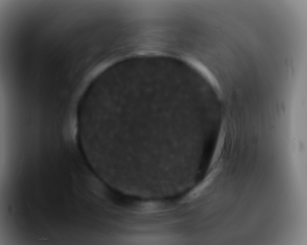 X0000092251461200709211053