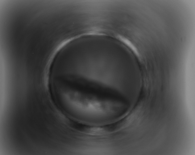 X0000092251463200709211053
