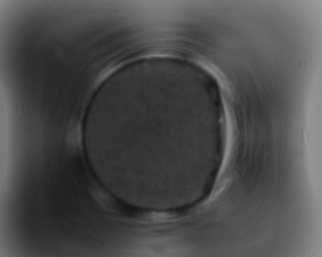 X0000092251465200709211052