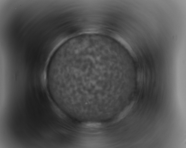 X0000092251466200709211052
