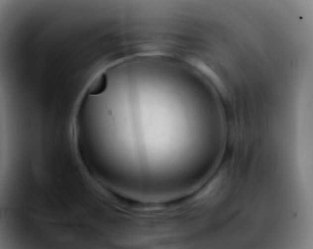 X0000092251467200709211052