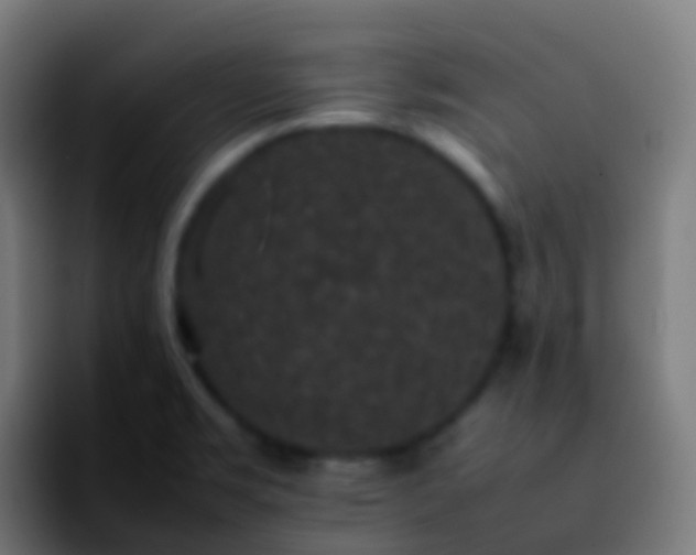 X0000092251469200709211052