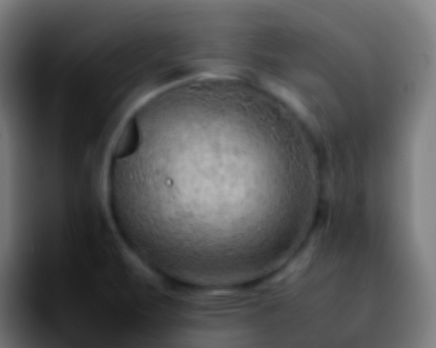 X0000092251471200709211052