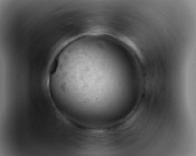 X0000092251472200709211052