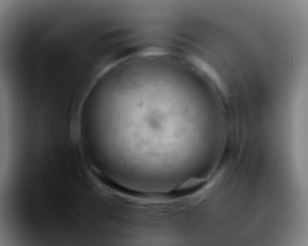 X0000092251473200709211052