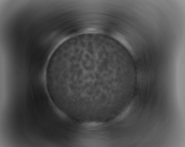X0000092251474200709211052