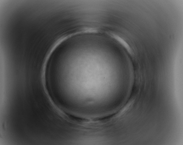 X0000092251475200709211052