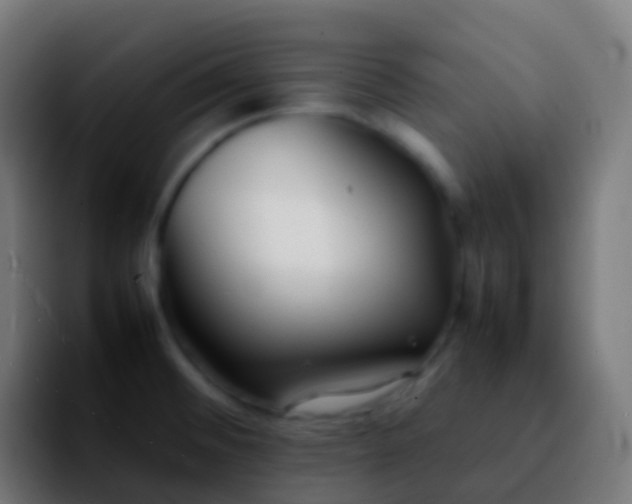 X0000092251476200709211052