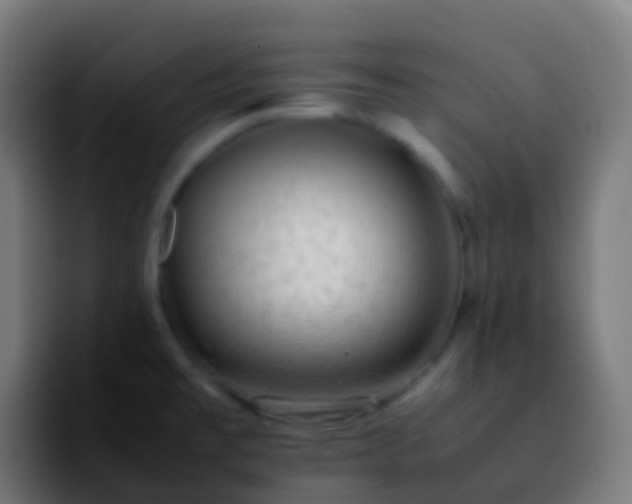 X0000092251477200709211052