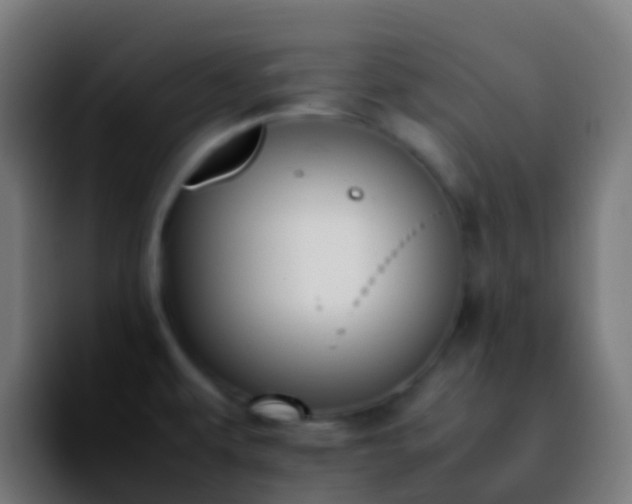 X0000092251479200709211052