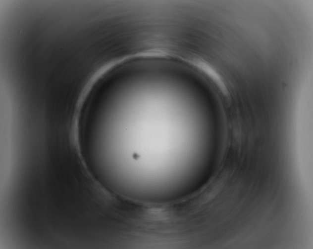 X0000092251480200709211052