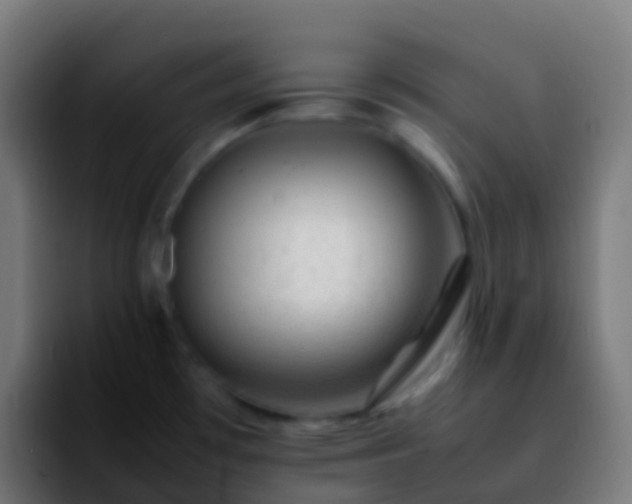 X0000092251481200709211052