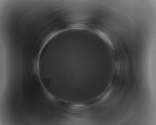 X0000092251482200709211052