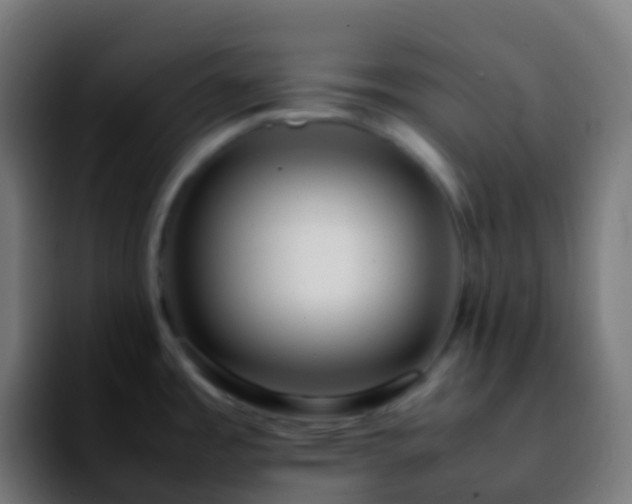 X0000092251485200709211052
