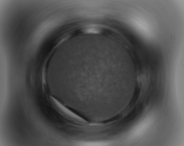 X0000092251487200709211052