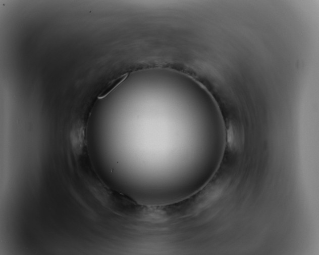 X0000092251492200709211052
