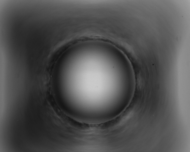 X0000092251494200709211052