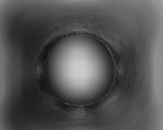 X0000092251495200709211052